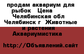 продам аквариум для рыбок › Цена ­ 500 - Челябинская обл., Челябинск г. Животные и растения » Аквариумистика   